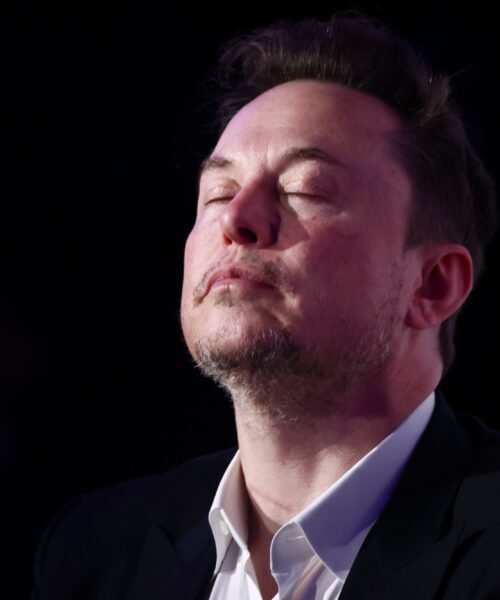 Elon Musk, presidente no electo y agente del caos