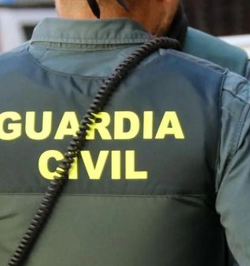Detenidos en España y Francia los seis integrantes de una banda dedicada al tráfico internacional de marihuana