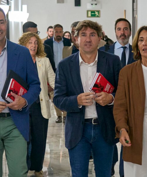 Andueza alimenta la sospecha: «El PNV fue el último en sumarse a la investidura de Sánchez; espero que no sea el primero en bajarse»
