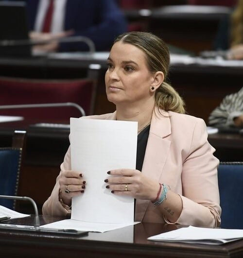 Primer paso para la derogación de la Ley de Memoria Democrática de Baleares
