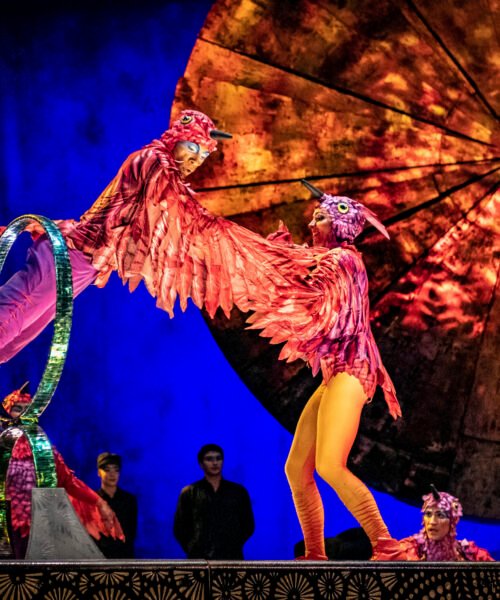 Andalucía multa a Cirque du Soleil por impedir el acceso con comida y bebida propia a sus espectáculos