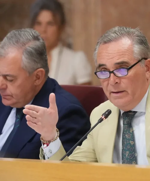 Sanz saca adelante otra bajada del IBI y la nueva tasa de grandes eventos pero vuelve a posponer la de basuras