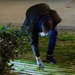 La imposibilidad de localizar al indigente se salda con la absolución del guardia urbano que le disparó