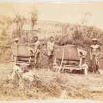 25.000 muertos, segregación y malaria: la historia oculta del canal de Panamá en una epopeya literaria