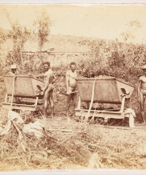 25.000 muertos, segregación y malaria: la historia oculta del canal de Panamá en una epopeya literaria