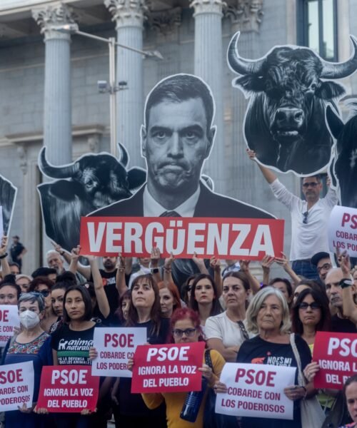 El debate sobre la tauromaquia, una batalla cultural y política que divide a la izquierda