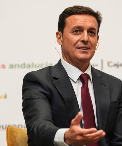 Dimite el presidente de la Diputación de Almería tras su implicación en el ‘caso mascarillas’