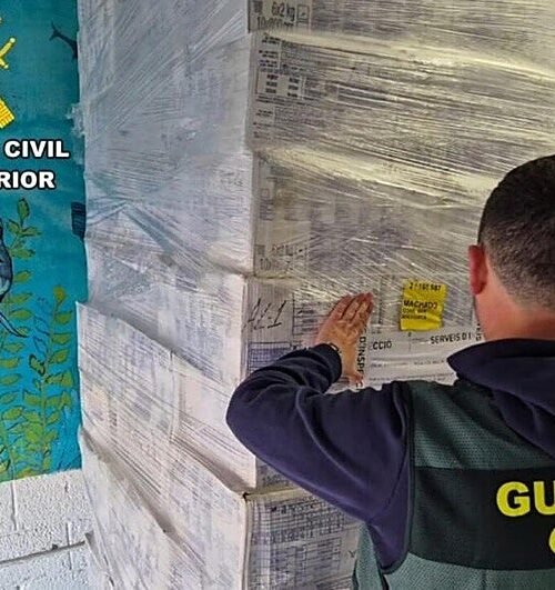 Intervienen 20 toneladas de marisco y pescado no apto para el consumo humano en Palma: la mayoría llevaba almacenado desde 2019