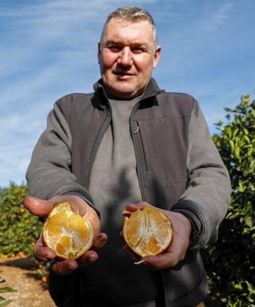 Alejandro, citricultor: «Hace 50 años vendías un campo de naranjos y te comprabas un piso. Hoy no te da ni para un coche»