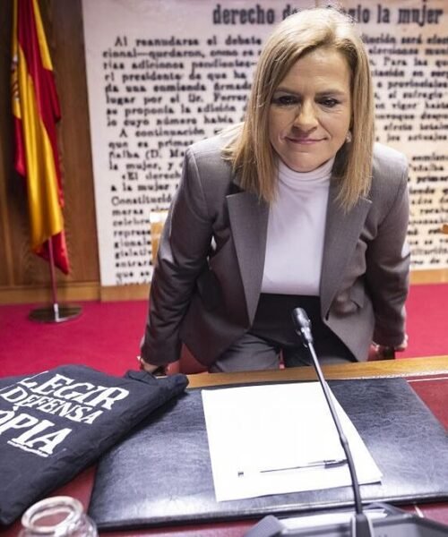 PP y PSOE se echan en cara las víctimas de la dana en un tenso interrogatorio a la delegada del Gobierno: «No se atreva a decir que en mi caso hay 230 muertos»