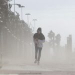 Muere una mujer al caerle encima una palmera por el fuerte viento en Torremolinos (Málaga)