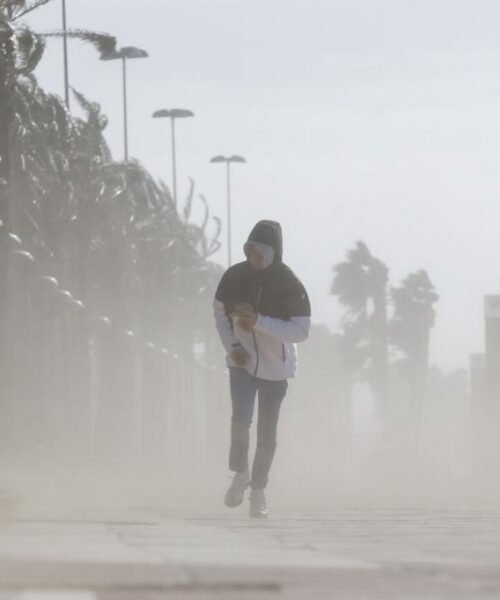 Muere una mujer al caerle encima una palmera por el fuerte viento en Torremolinos (Málaga)