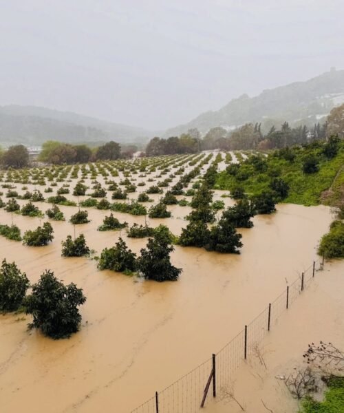 Andalucía suspende las clases este miércoles en 77 municipios de Almería, Cádiz y Málaga por el temporal