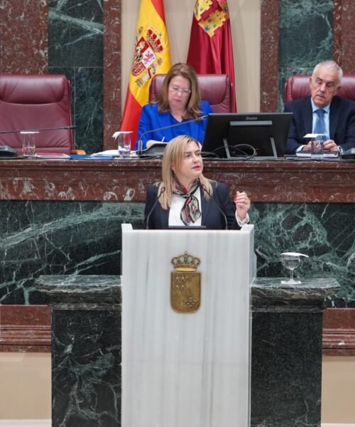 El PSOE saca adelante una iniciativa para contratar más personal sanitario en el área II y mantener a pleno rendimiento hospitales, centros de salud y consultorios en la comarca de Cartagena