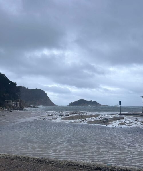 La borrasca Harry se ceba con el litoral de Ibiza y provoca caídas de árboles por los fuertes vientos