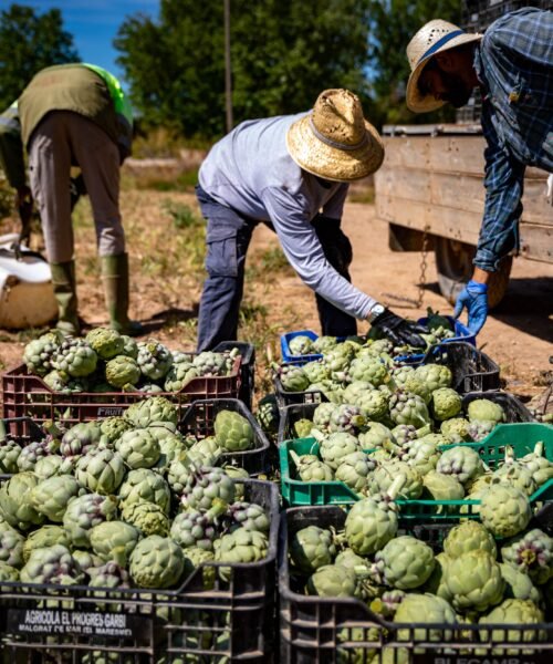 El Gobierno propone subir el salario mínimo un 3,1%, hasta los 1.221 euros mensuales en 2026