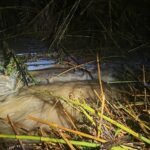 Localizan el cuerpo de un hombre en el interior de un vehículo en Gerona