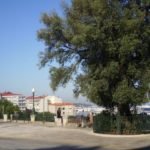 Más de 9.000 médicos del Sergas, en huelga desde este miércoles