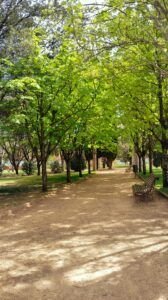 Seis bicicletas, un patinete y tres campitos de fútbol, en el Parque la Paz de Barbastro