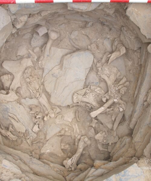 Los festines de las élites de la cultura argárica