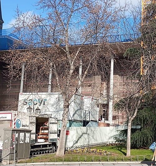 Miguel Falomir: «El Prado no necesita ni un solo visitante más»