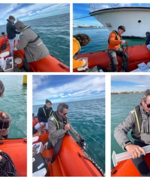 Marina Port Valencia toma muestras de agua en La Marina Ibiza para reforzar el conocimiento ambiental