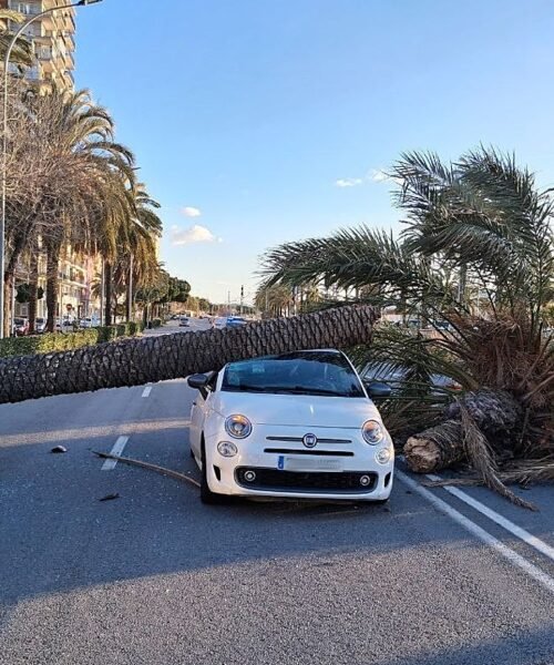 Al menos seis heridos y algunos trenes y vuelos suspendidos por el temporal de viento en Cataluña