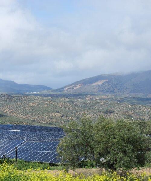 Ignis desafía los vientos en contra para las renovables en Bolsa