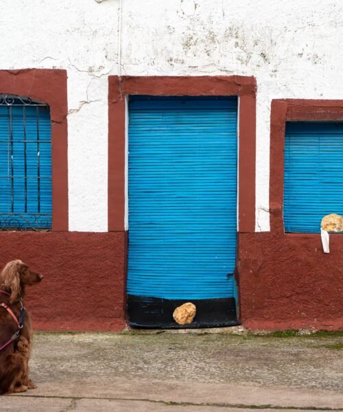 La falta de datos fiables complica la movilización de la vivienda vacía en España