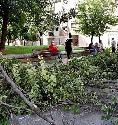 Cataluña pide evitar la «movilidad no necesaria» y recomienda teletrabajar ante la previsión de fuertes vientos