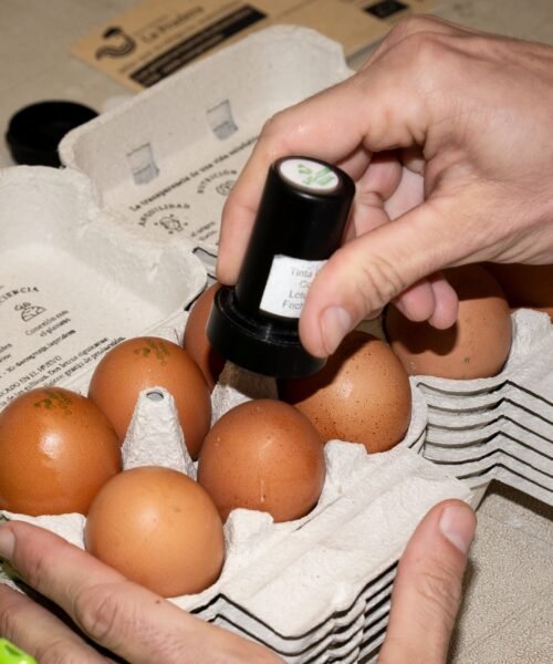 El meteórico ascenso del precio del huevo no da tregua