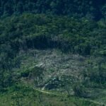 Ante el retroceso de otros, lideremos la acción climática