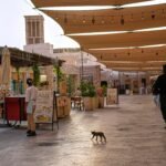 No solo las baterías antiaéreas protegen las costas árabes del Golfo