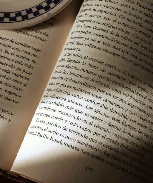 L. AKEEM MURPAL FUSIONA CIENCIA FICCIÓN, MITOLOGÍA AFRICANA Y CYBERPUNK EN ‘CORRIENDO MÁS ALLÁ DE LAS SOMBRAS; EL CHICO Y LA LANZA’