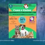 Prosegue estes días a campaña de esterilización de cans e gatos de Rianxo
