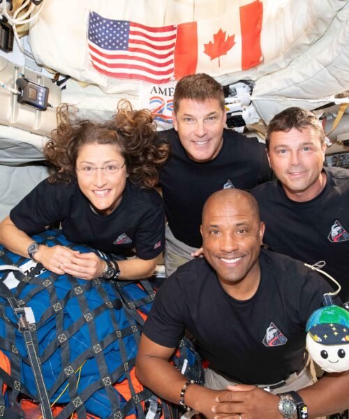 Las curiosidades de Artemis 2: un peluche astronauta, una editora de Wikipedia en el espacio y guiños de publicidad encubierta