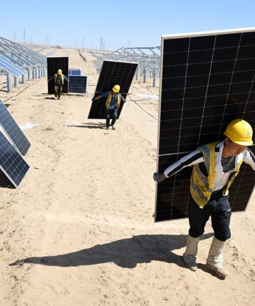 Las renovables superan por primera vez en cien años al carbón en la producción global de electricidad