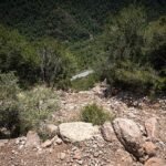 Una huella sospechosa y una hipótesis alternativa para la caída de Andic