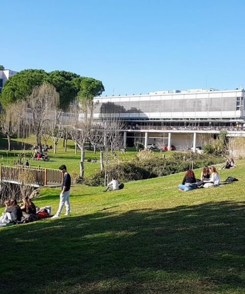 Ranking CYD: las 12 mejores universidades españolas para estudiar la carrera