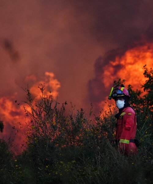 La ganadería extensiva frente al cambio climático: tenemos que comernos el monte