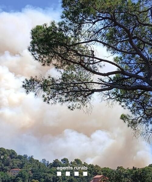 El juez decreta internamiento psiquiátrico para el detenido por provocar el incendio de Tiana
