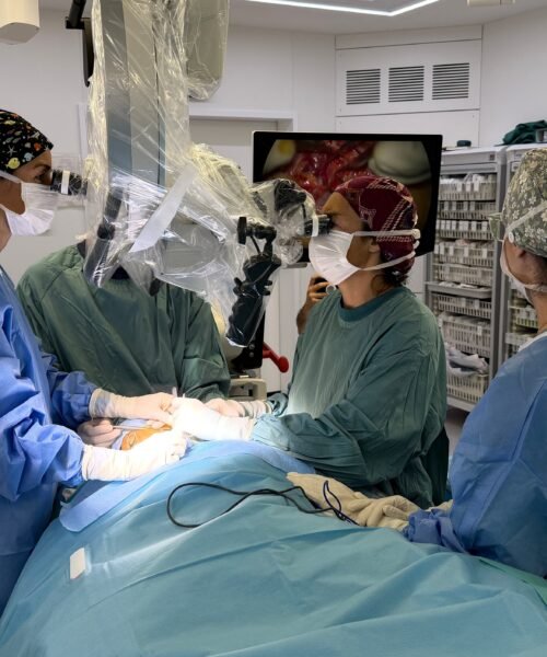 Cirugía del alzhéimer: una técnica experimental trata de ralentizar en el quirófano el deterioro cognitivo