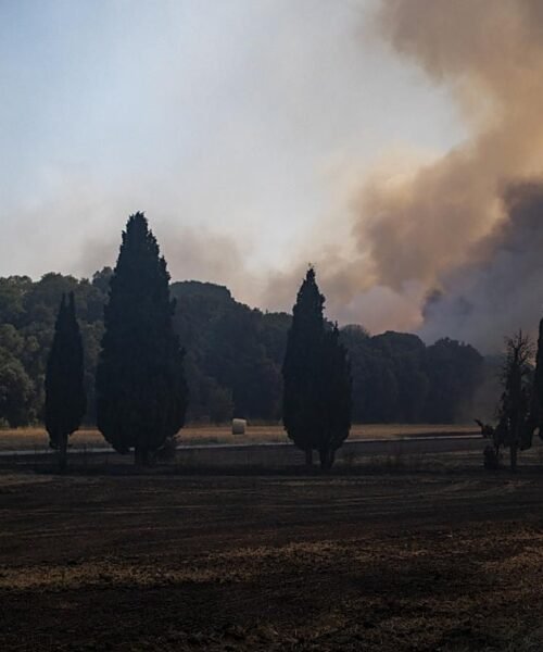 Bomberos y UME evitan el peor escenario en la Costa Brava tras una jornada «crítica» por el incendio