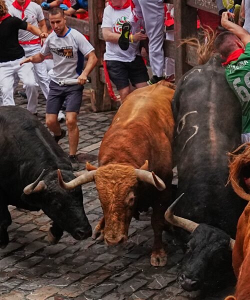 Los atléticos toros gaditanos de Álvaro Núñez protagonizan un emocionante cuarto encierro de San Fermín con nueve contusionados