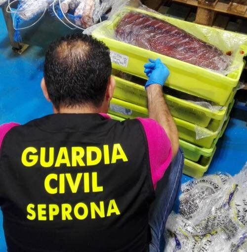 Las otras amenazas alimentarias que vigila la UE: contrabando de carne de primate, atún adulterado, parásitos de mapache…