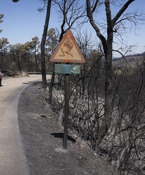 El incendio de la Costa Brava  permite el regreso de los evacuados tras quedar estabilizado el perímetro