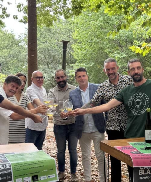 A nova edición do BoViño Wine Fest reivindicará os nosos viños con diversas actividades en Boiro, A Pobra e Rianxo
