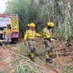 Un incendio afecta a unas cuatro hectáreas junto a la A-130, entre Alcolea de Cinca y Santa Lecina