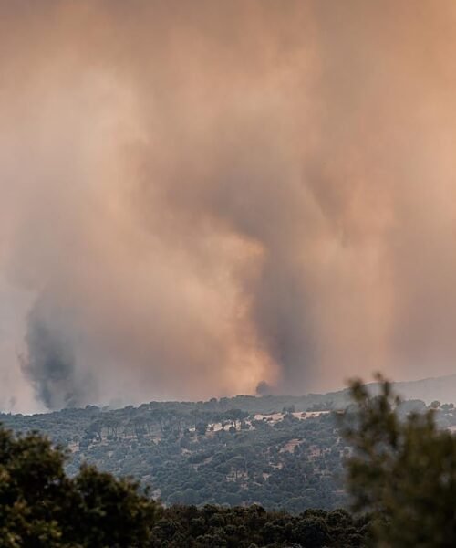 Incendios en España hoy, en directo: última hora de los fuegos en Madrid, Castilla y León y Castilla-La Mancha y de los pueblos evacuados