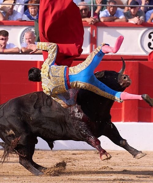 De una estocada a sangre y fuego de Marco a la torería sin espada de Morante